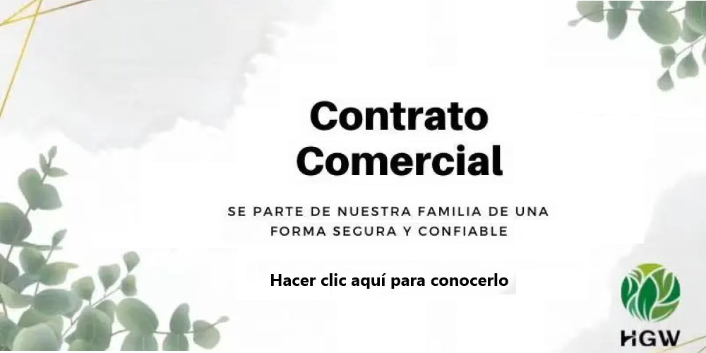 Portada oficial de HGW y productos destacados